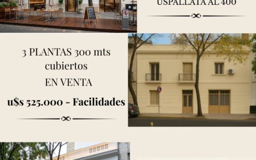 Petit Hotel Francés ,frente Parque Lezama