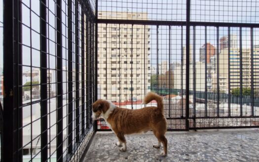 Departamento 3 ambientes en venta sobre la peatonal del Barrio Chino – Belgrano