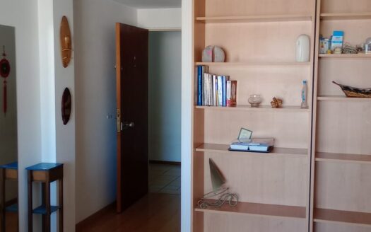 dos ambientes amoblado